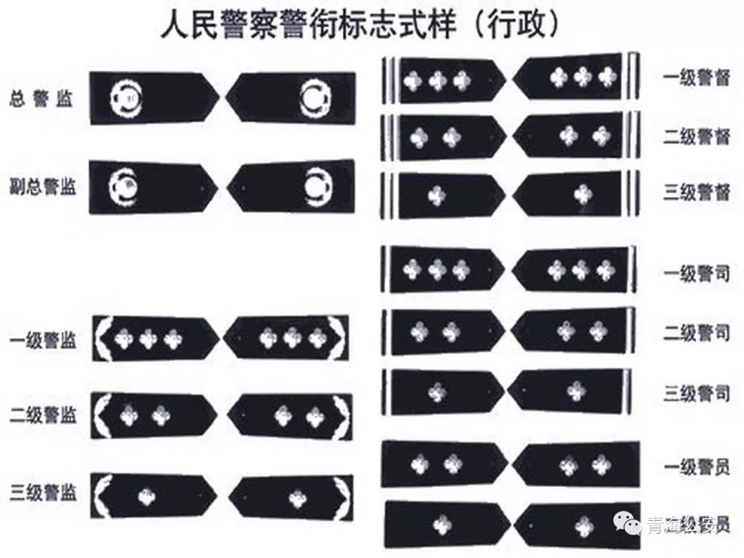 最新辅警肩章级别图详解及解读