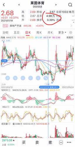 莱茵体育股票最新消息深度解读与分析