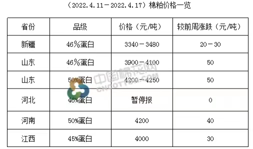 新疆棉籽油最新价格与市场分析概览